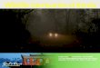 Wildlife sanctuaries of kerala