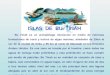 1581 islas-butinah-( )