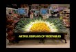 Artful displays of vegetables