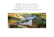Air Layering Portfolio: The Process of Air Layering in Pictures
