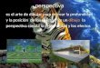 Camtasia perspectiva