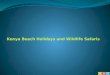 Travel to Kenya – Beach Holidays- Wildlife Safari
