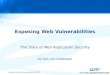 Exposing Web Vulnerabilities
