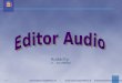 Editor Audio