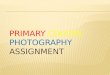 Primary Colors Photography  Assignment