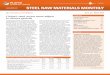 PLATTS STEEL RAW MONTHLY