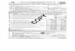 IRS Form 990 2012-2013 IRS Return