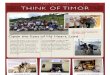 Timor Reflections
