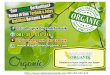 081-355-555-216 pupuk durian lokal, Jual Pupuk Durian Booster, harga Pupuk Durian Montong