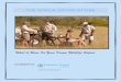 What to Wear on your Kenya Wildlife Safari