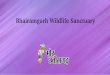 Bhairamgarh wildlife sanctuary