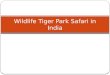 Wildlife Tiger Park Safari in India