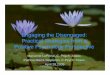 Engaging Resilience