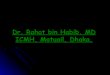  rahat bin habib
