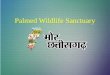 Palmed wildlife sanctuary
