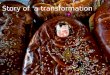 Story of  a transformation