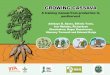 GROWING CASSAVA - International Institute of Tropical ... · PDF fileGrowing cassava: A training manual from production to postharvest. IITA, Ibadan, Nigeria. GROWING CASSAVA ... 2