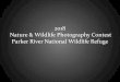 2018 Nature & Wildlife Photography Contest Parker River ... · PDF file2018 Nature & Wildlife Photography Contest Parker River National Wildlife Refuge