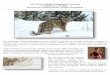 Jan 2015 Winter Wildlife Photography Jan Reeder... · PDF file2015 Winter Wildlife Photography Workshop January 16 – 19, 2015 Presented by Kathleen Reeder Wildlife Photography Workshop