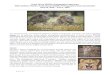 South Africa Wildlife Photography Experience With files. Africa Wildlife Photography Experience With Kathleen Reeder, Professional Wildlife Photographer/Instructor/Author May 23, 2016