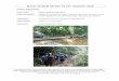 MYCAT INTERIM REPORT TO 21ST CENTURY TIGER Project · PDF fileMYCAT INTERIM REPORT TO 21ST CENTURY TIGER . Project Information . ... verge of extinction. ... in Yu River Wildlife Corridor