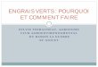 Engrais verts : pourquoi et comment faire - MAPAQ · PDF fileENGRAIS VERTS : POURQUOI ... seigle, ray-grass, sorgho, etc. ... POIS FOURRAGER . 8000 9000 10000 11000 12000 13000 14000