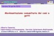 Movimentazione comunitaria dei cani e gatti · •Garantire la qualità e quantità dell’aria ed un’illuminazione adeguata. •Consentire un’adeguata ispezione degli animali