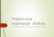 Projektovanje organizacije - strukturaorganizacija.fon.bg.ac.rs/wp-content/uploads/2017/01/Organizacioni... · Struk tura N agrade Procesi Strategija ... L j udi Spos obnos ti Str