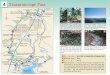 Tsuzurato-toge Pass Saigoku Kannon Pilgrimage Statues Tsuzurato-toge Pass Stone walls of Nozurazumi Stone path Elevation 357 meters. This is the ﬁrst point where pilgrims heading