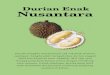 Durian Durian Enak Nusantara - omkicau.com file1 Durian Durian bangkok mendominasi rak-rak buah di pasar swalayan. Langka sekali menyaksikan durian unggul lokal kita dijual di sana