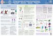 UMass Amherst University of Cyprus UMass Amherst IIT kalo/papers/shapepfcn/ShapePFCN_poster.pdf UMass Amherst University of Cyprus UMass Amherst IIT Bombay. Overview. Motivation: recognizing