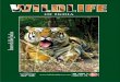 Graphic2 - India Jungle Tours · Dudhwa National Park ( 233 Kms. / 6 hrs. drive) After breakfast connect flight for Lucknow. On arrival at Lucknow drive to Dudhwa National Park, Afternoon