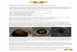 C1M eBook Manual DSLR photographynh-photography-classes.com/...dslr_photography.pdf · Manual mode DSLR photography for people in a hurry: The purpose of this brief instruction set