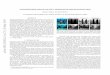 UNSUPERVISED SINGLE IMAGE UNDERWATER DEPTH … · Honey Gupta, Kaushik Mitra Computational Imaging Lab, Indian Institute of Technology Madras, India ABSTRACT Depth estimation from