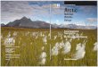 U.S. Fish & Wildlife Service Arctic · PDF file Executive Summary U.S. Fish & Wildlife Service U.S. Fish & Wildlife Service - Arctic National Wildlife Refuge Final EIS Summary - January
