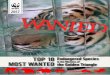 2017 - Traffic€¦ · “tiger temple,” WWF is calling on governments across Asia to investigate and close all tiger farms to ensure that the tigers do not become part of the illegal