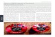 vonDR.KAI-OLIVER DETKEN Grasberg · 2018. 7. 2. · Nachdem seit 2009 ausschließlich mit DSLR-Kamerasfotografiertwurde,sollte mit einer CCD-/CMOS-Kamera der nächste Schritt vollzogen