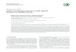 Research Article Indoor Localisation Based on GSM Signals 