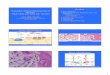 Bone Metabolism - Hinman