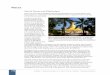 Sacred Places and Pilgrimages