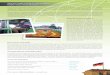 McCloy Fellowship in Agriculture Study Tour in Germany