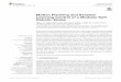 Motion Planning and Iterative Learning Control of a 