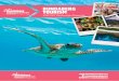 BUNDABERG TOURISM - images.impartmedia.com