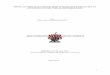 PHYSICAL MODELLING INVESTIGATION OF ROCK SCOUR …