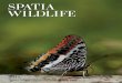 Nature holidays and wildlife photography tours