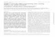 USERTM friendly DNA engineering and cloning method by uracil excision