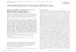 Interactions between UvrA and UvrB: the role of UvrB's domain 2 in nucleotide excision repair