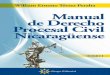 William Ernesto Tórrez Peralta - Manual de Derecho Procesal Civil Nicaragüense